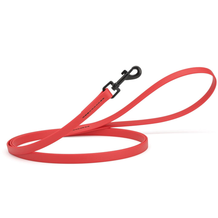 Red dog leash with a black clip on a white background