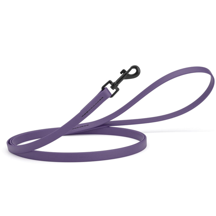 Purple dog leash with a black clip on a white background
