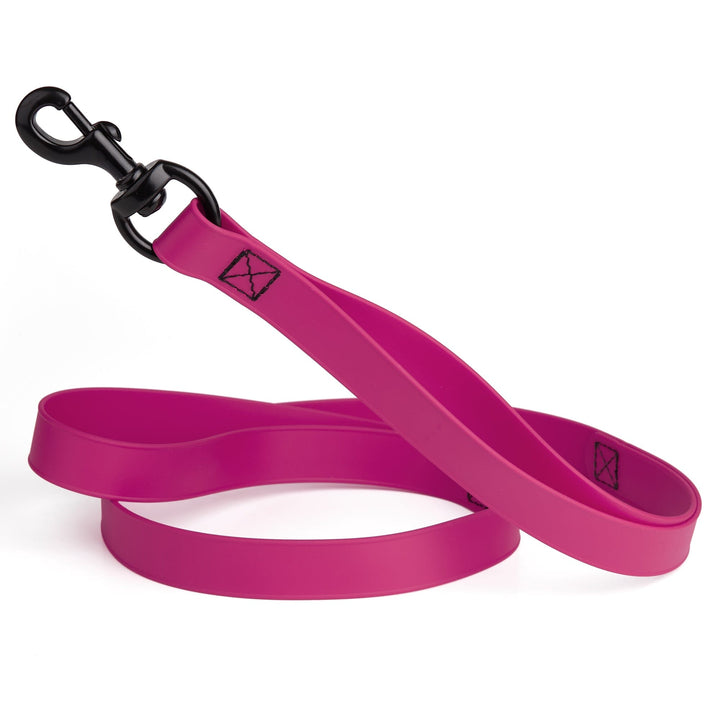 Pink dog leash with black clip on a white background