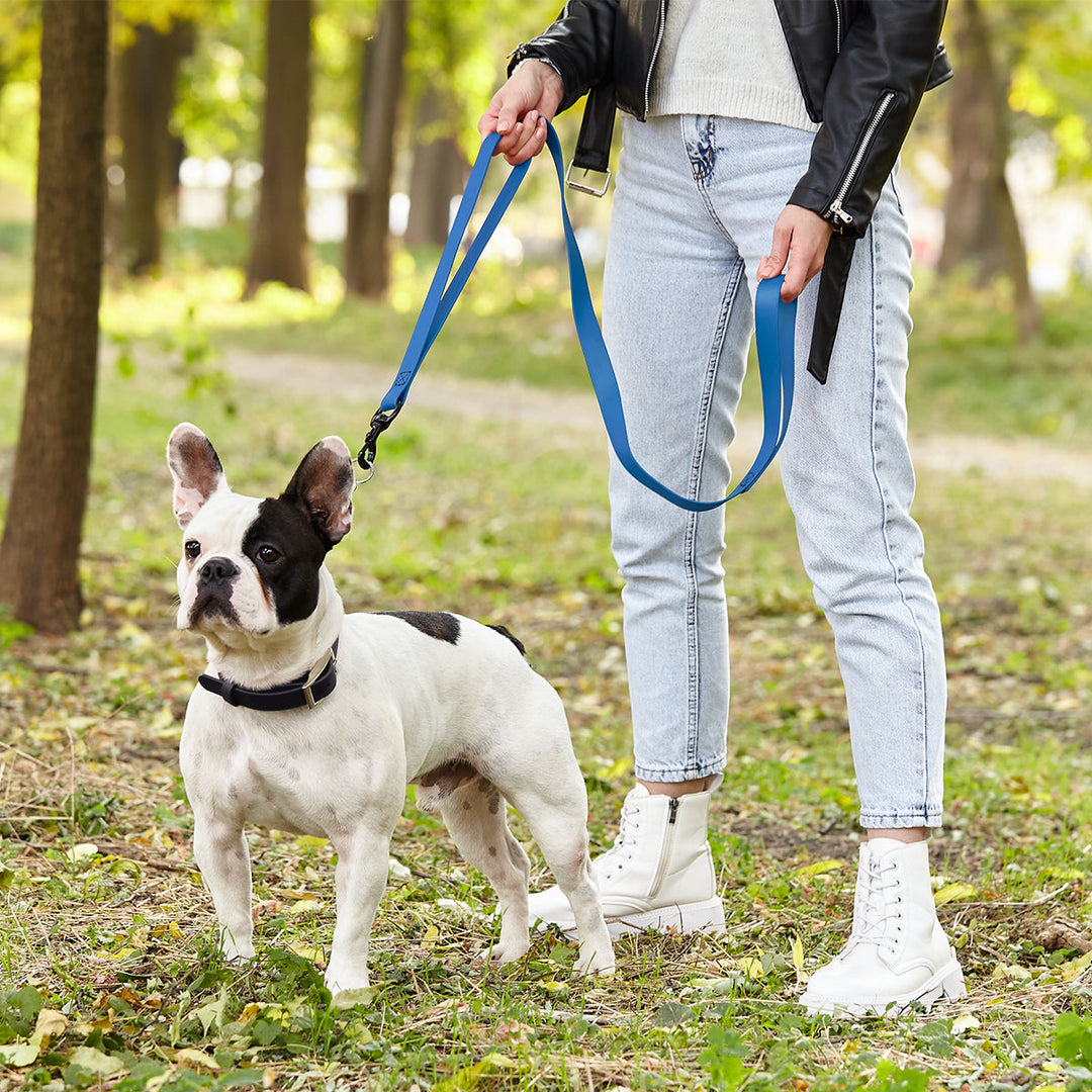 Person walking a small white dog on a blue leash in a park