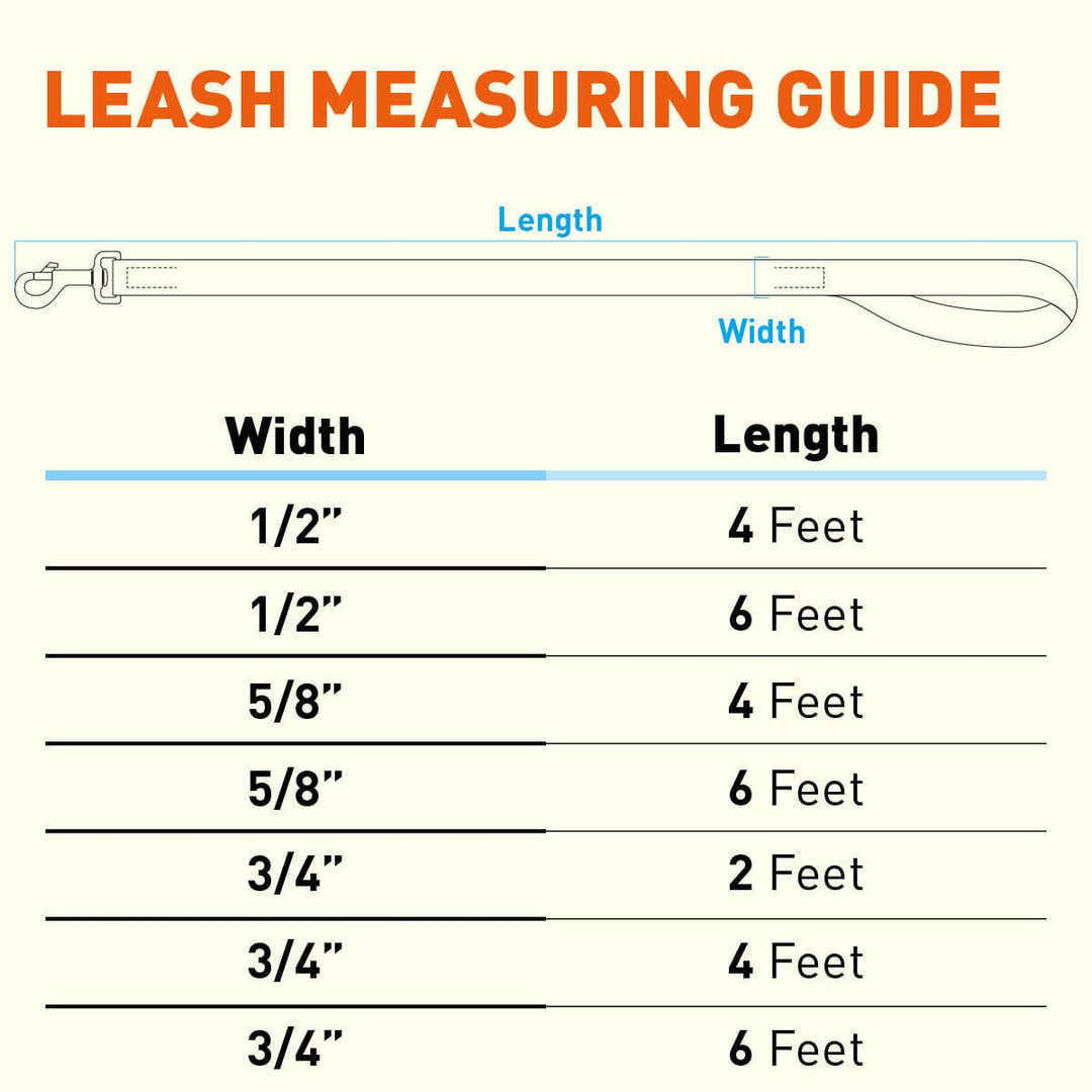 Leash measuring guide with dimensions for width and length on a white background