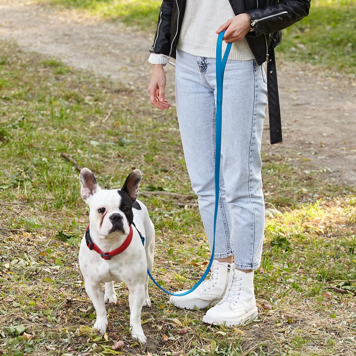 Person walking a small white dog on a blue leash in a park
