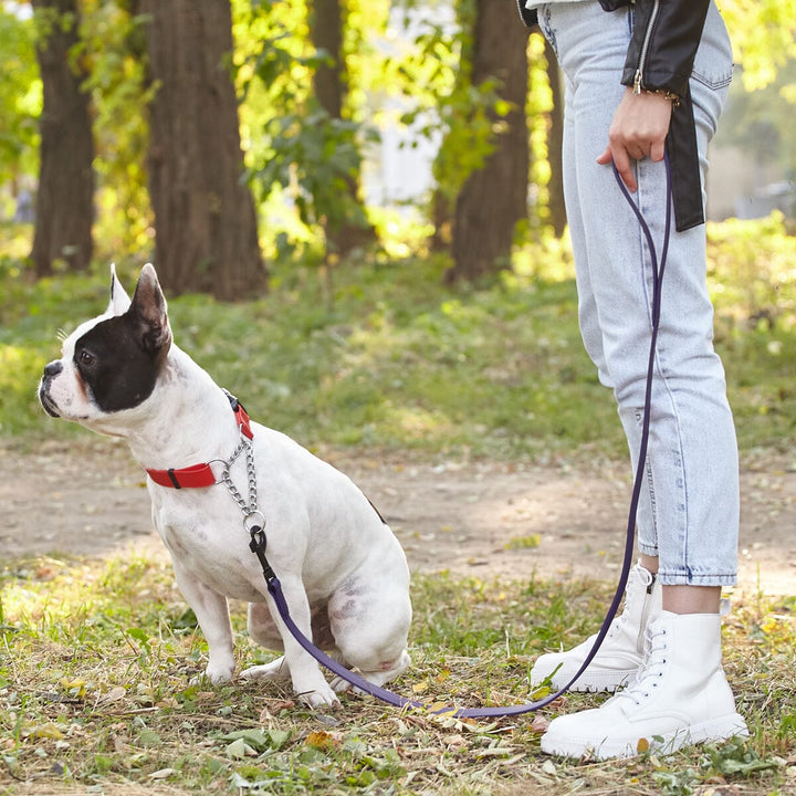 White dog on a leash sitting next to a person in a park