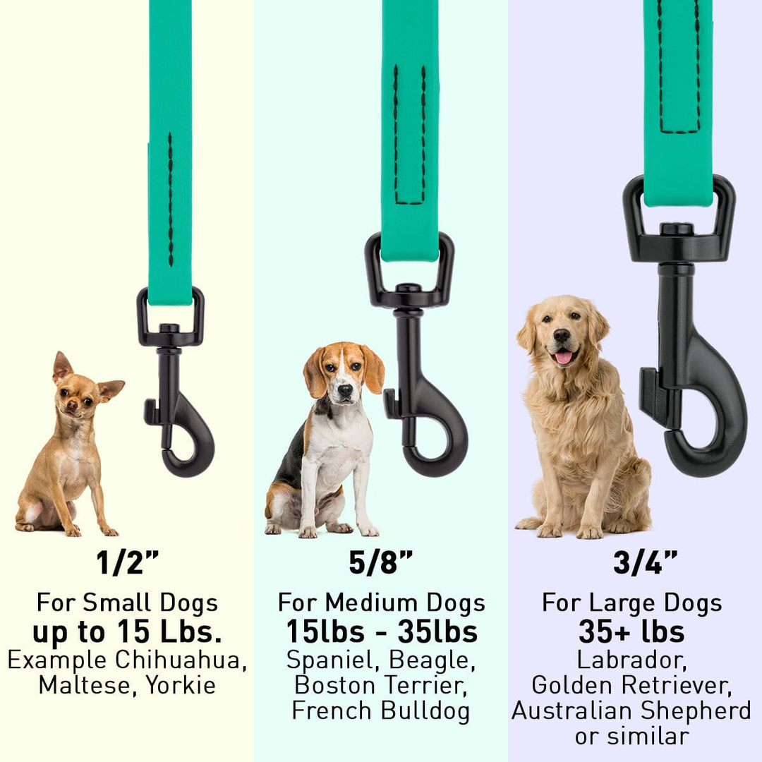 Dog leashes with size chart for small, medium, and large dogs