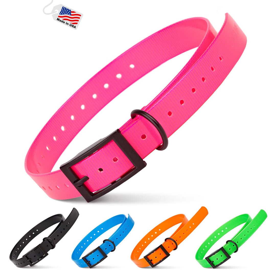 Pink dog collar with black buckle, surrounded by smaller colored collars on a white background.