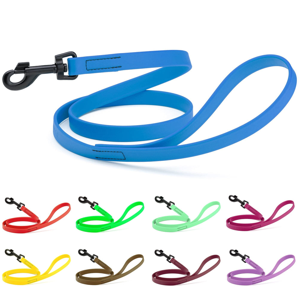 Blue dog leash with various color options displayed below on a white background