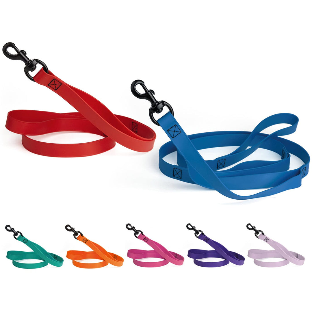Set of colorful dog leashes on a white background