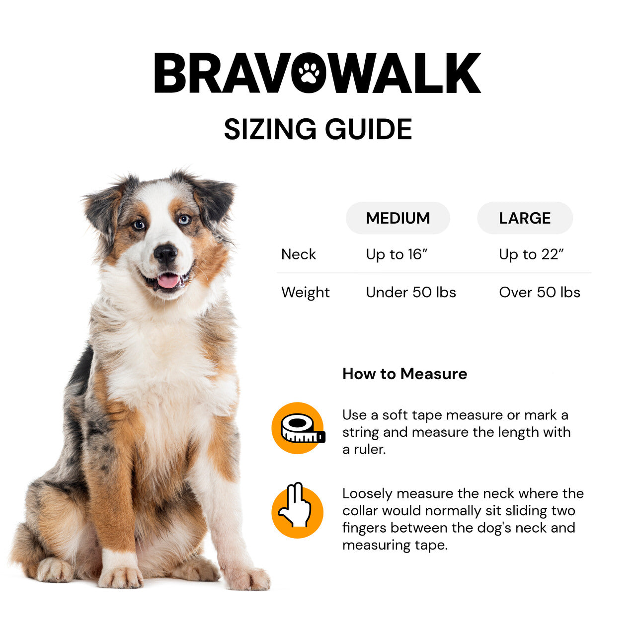 BravoWalk Size Guide