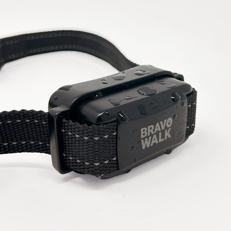 BravoWalk Pro Features a Waterproof Build