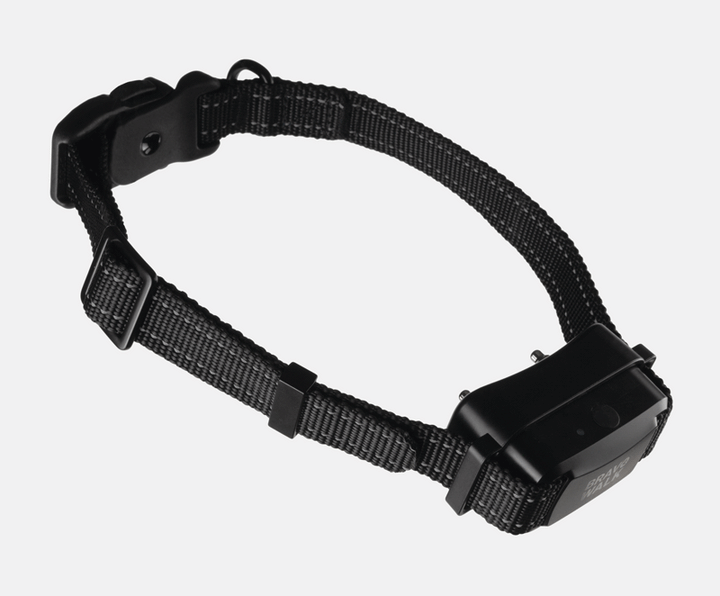 BravoWalk No-Pull  Dog Training Collar