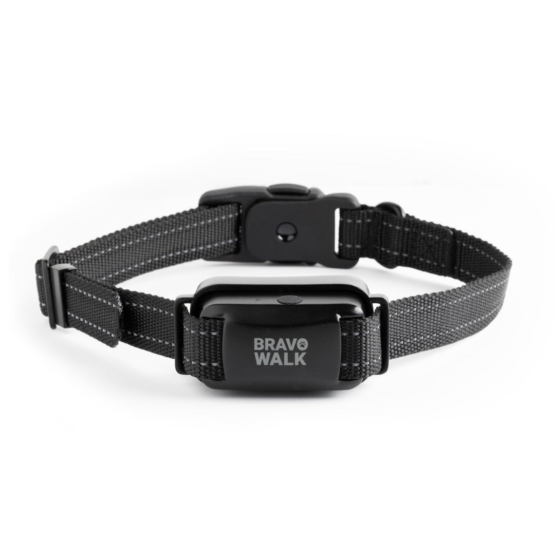 BravoWalk Pro no-pull dog training collar on a white background