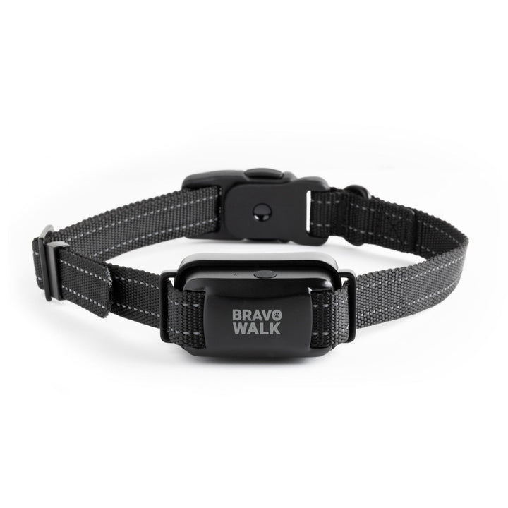 BravoWalk Pro no-pull dog training collar on a white background