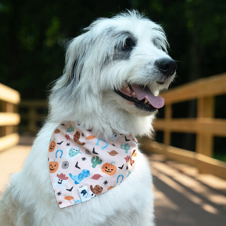 White dog wearing a colorful bandana with pumpkin and cowboy ghosts for a Halloween-themed design on a wooden deck.
