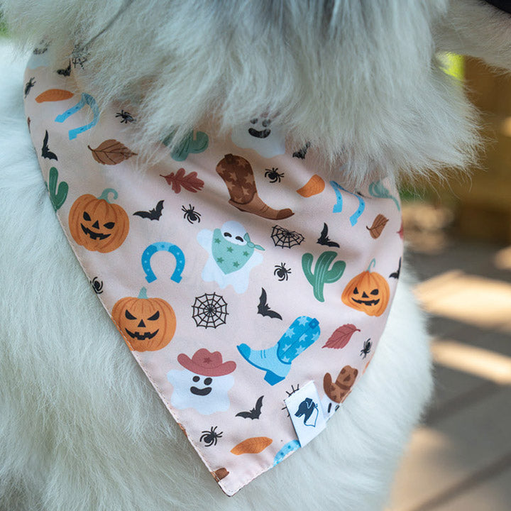 Dog wearing a Halloween-themed bandana with pumpkins, ghosts, and other Halloween themes.