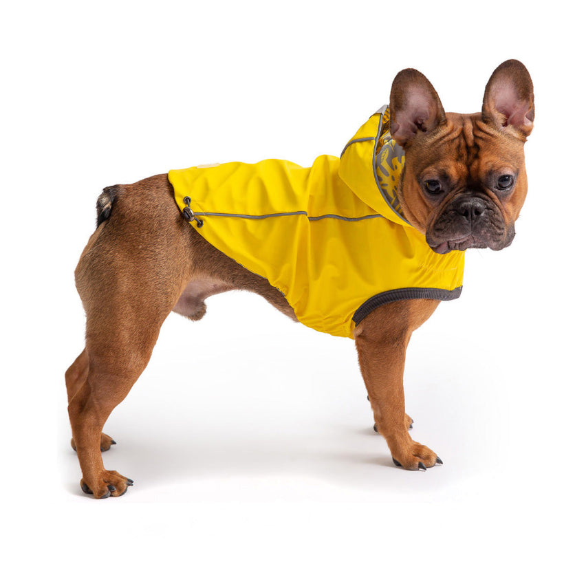 Dog wearing a yellow raincoat on a white background