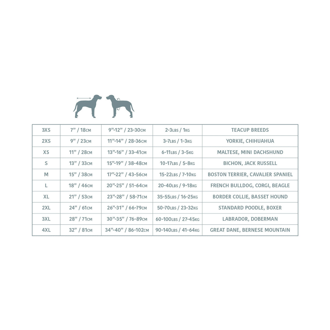 Dog size chart with measurements and breed categories on a white background