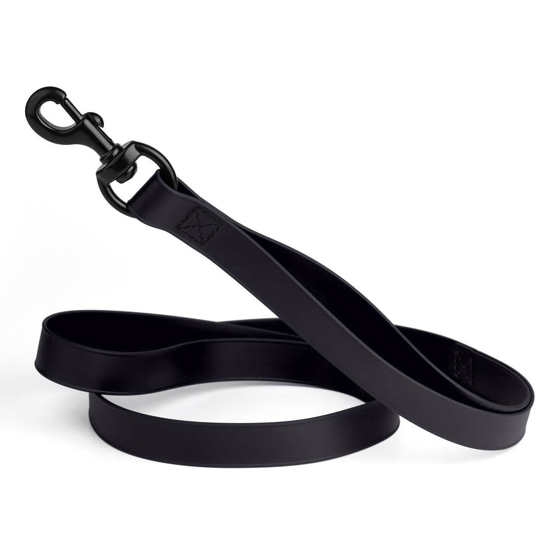 Black dog leash with clip on a white background