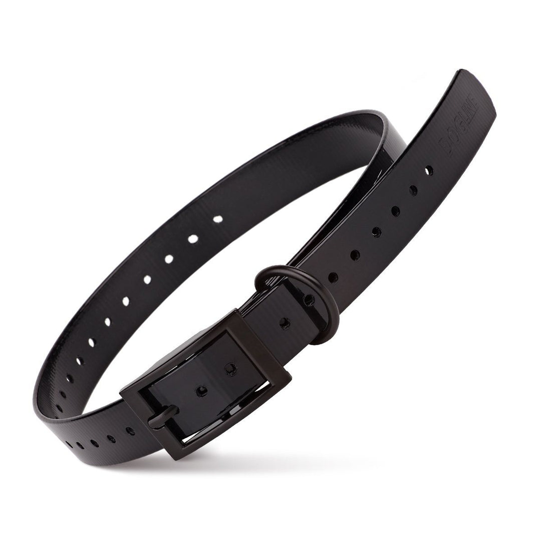 Black dog collar with black buckle