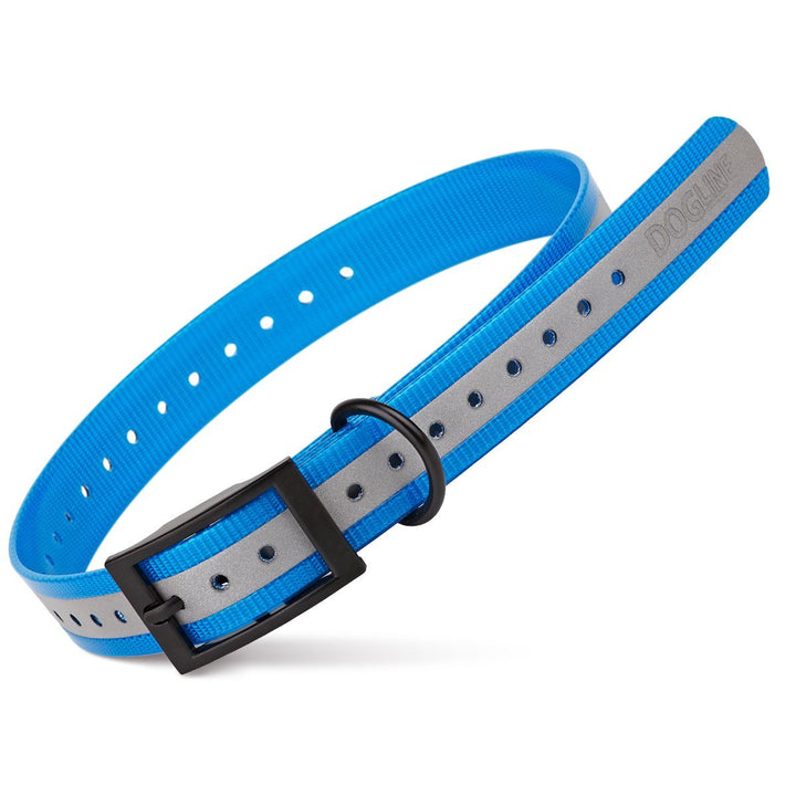 Blue and gray dog collar with a black buckle on a white background