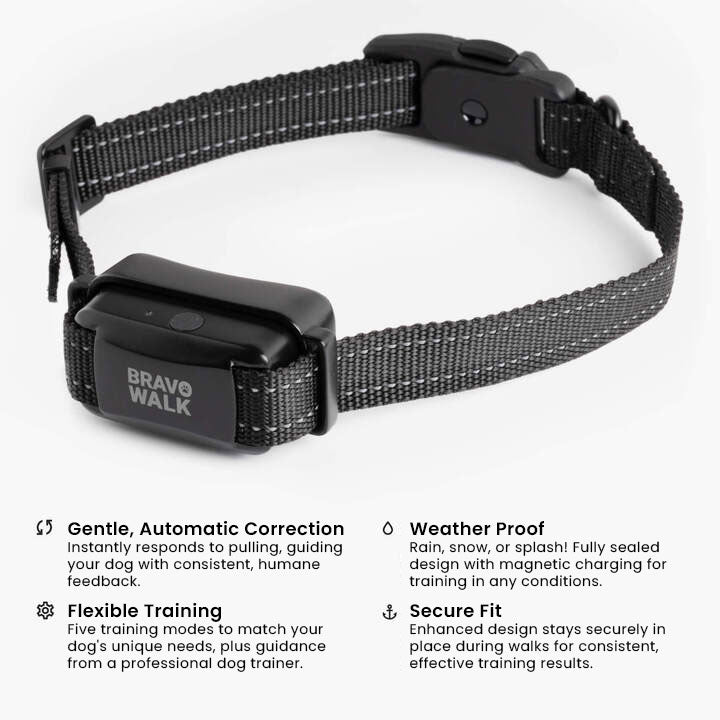 bravowalk pro features
