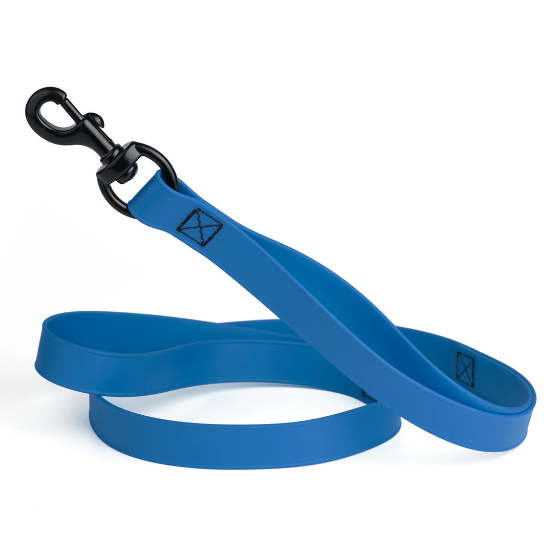 Blue dog leash with black clip on a white background