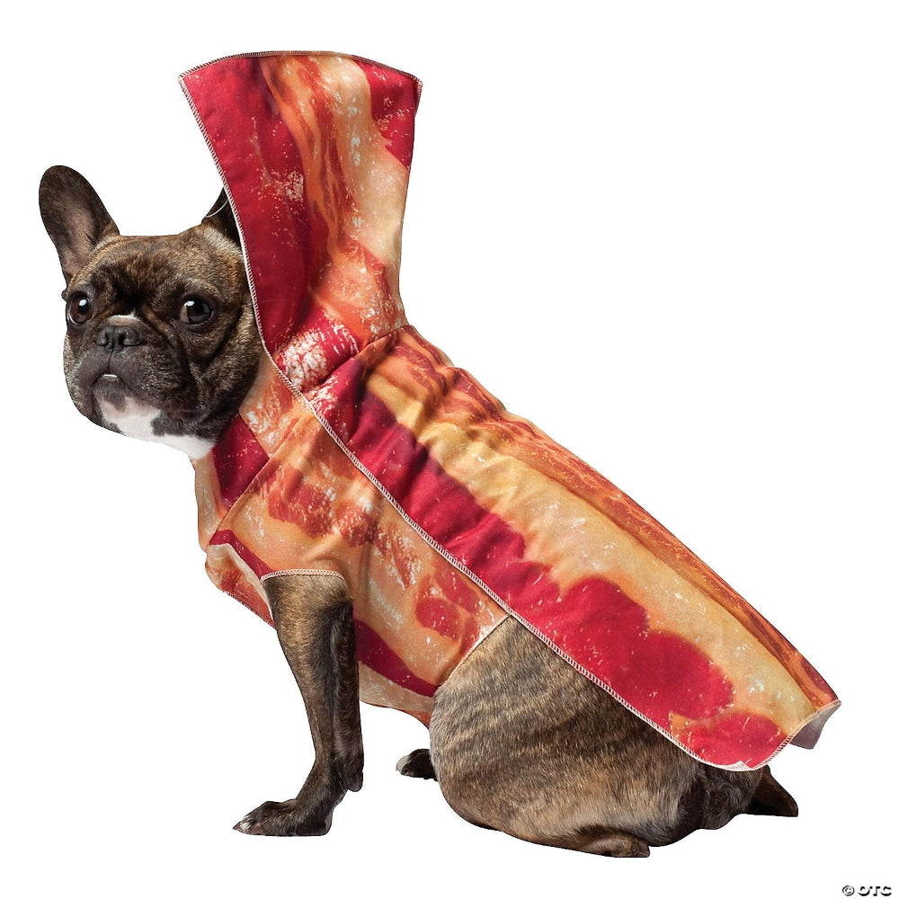 Dog wearing a bacon costume on a white background