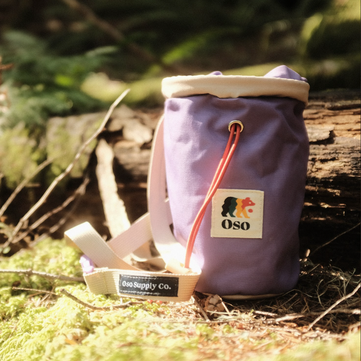 purple dog treat bag for dog walk training outside in a park