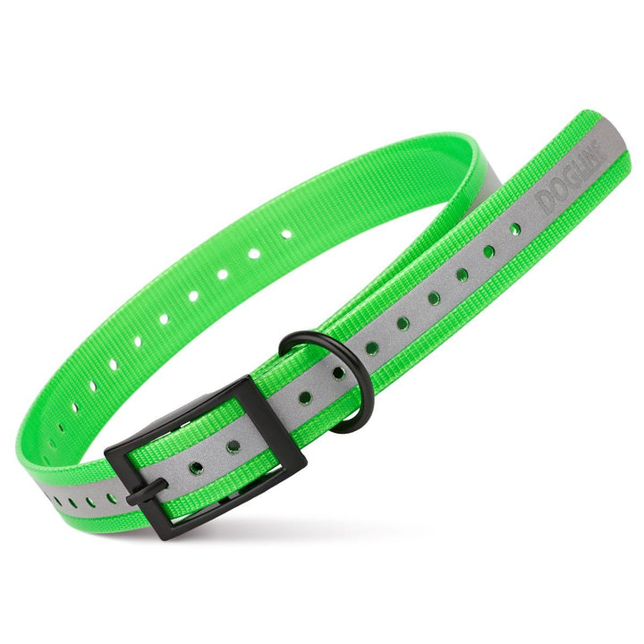 Green and gray dog collar with black buckle on a white background