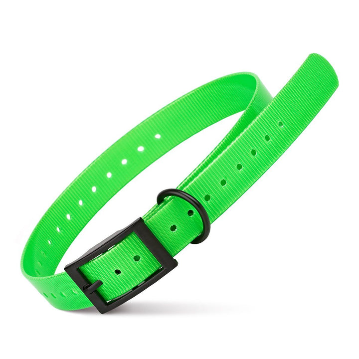 Green dog collar with a black buckle on a white background