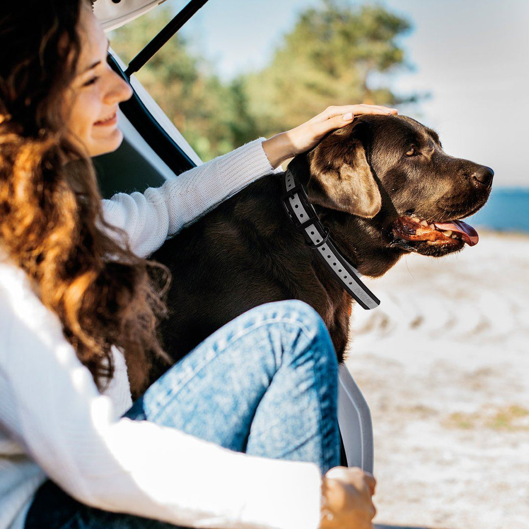 Brown dog wearing black and gray collar, sitting with woman who is petting its head, with a scenic background.
