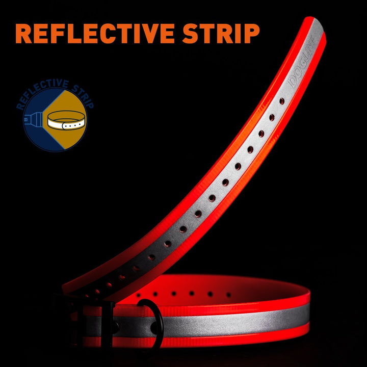 Graphic showing the reflective properties of a dog collar
