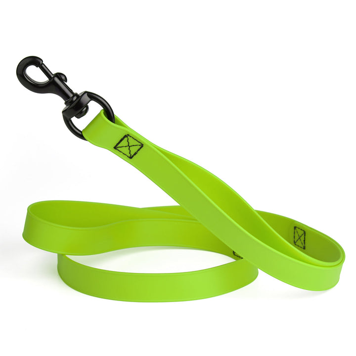 Lime green dog leash with black clip on a white background