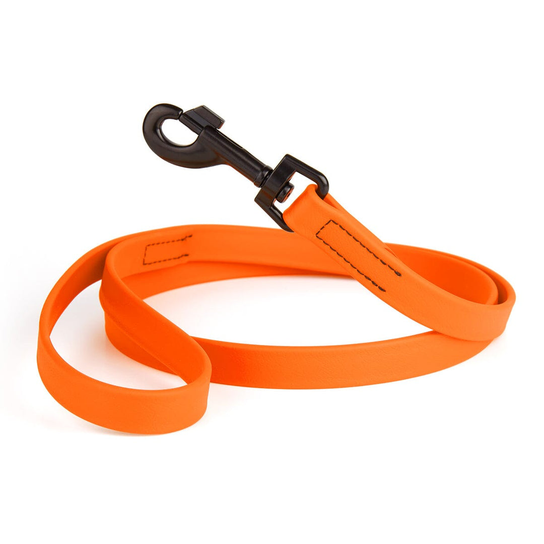 Neon orange dog leash with a black clip on a white background