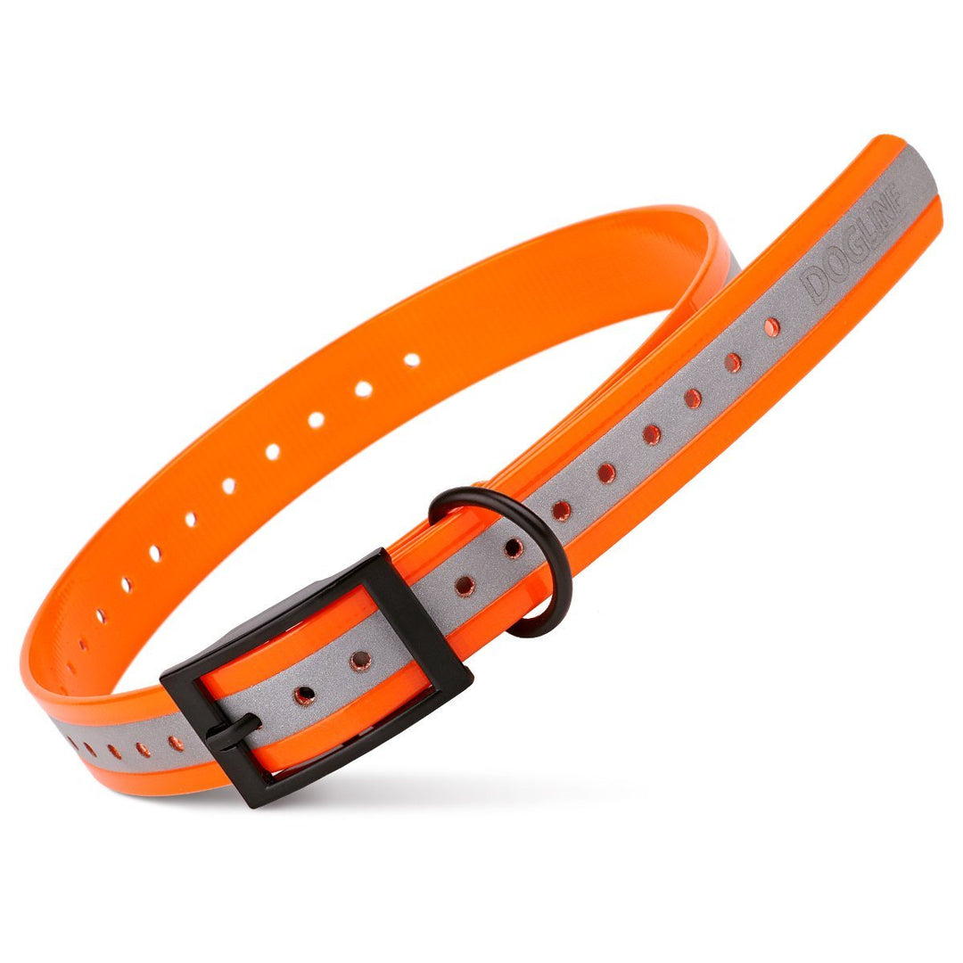 Orange and gray dog collar with black buckle on a white background