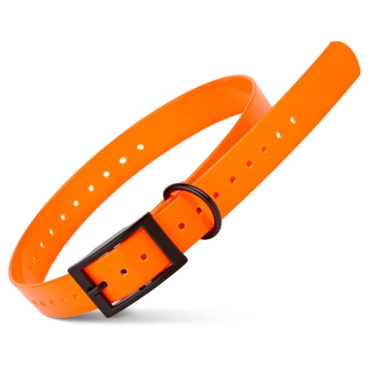 Orange dog collar with a black buckle on a white background