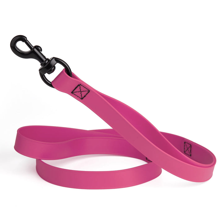 Pink dog leash with black clip on a white background