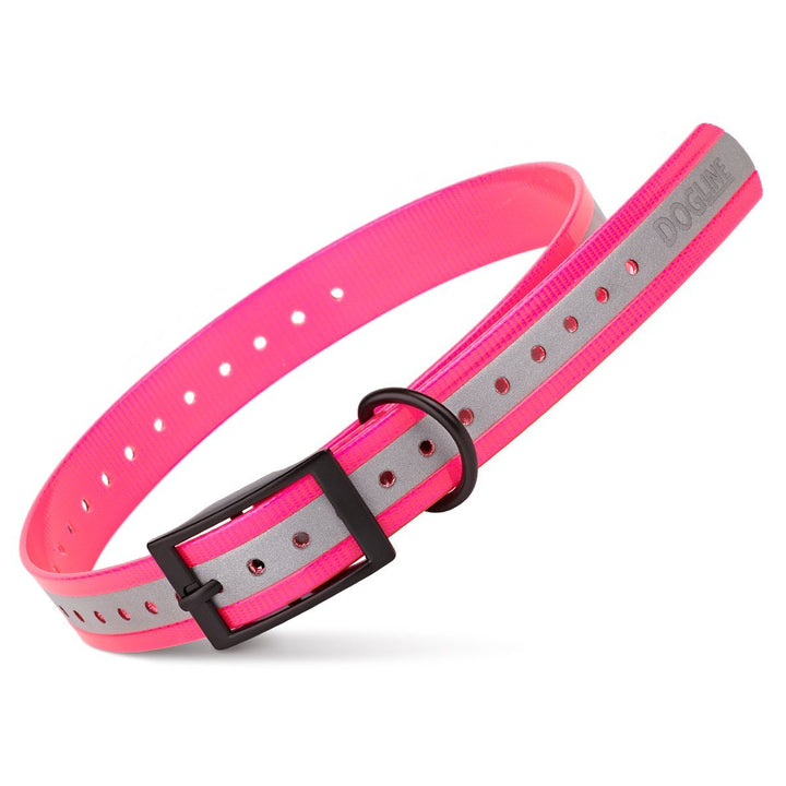 Pink and gray dog collar with black buckle on a white background
