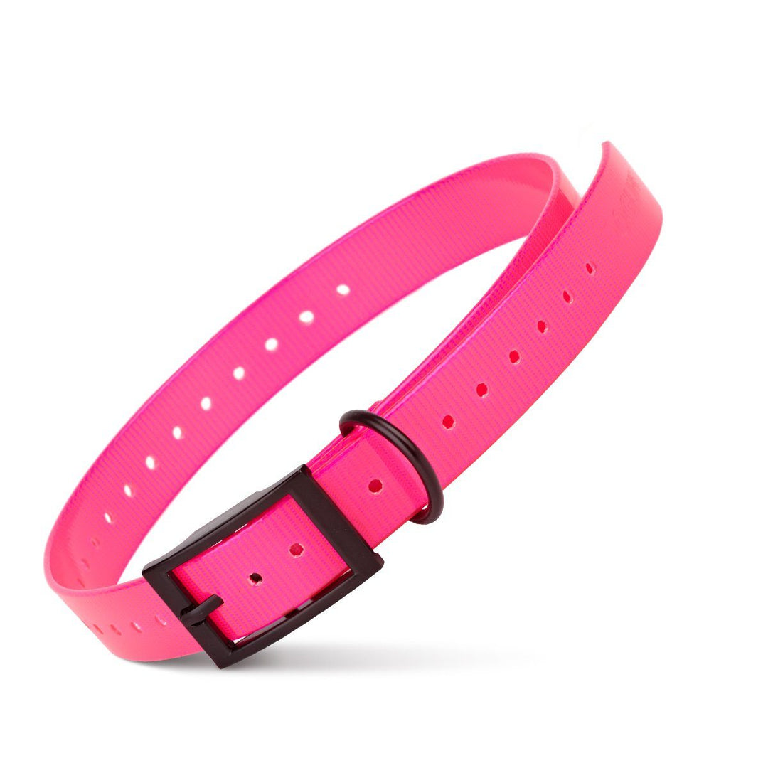 Pink dog collar with a black buckle on a white background