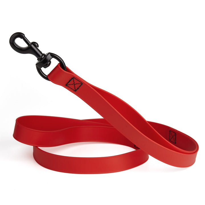 Red dog leash with black clip on a white background