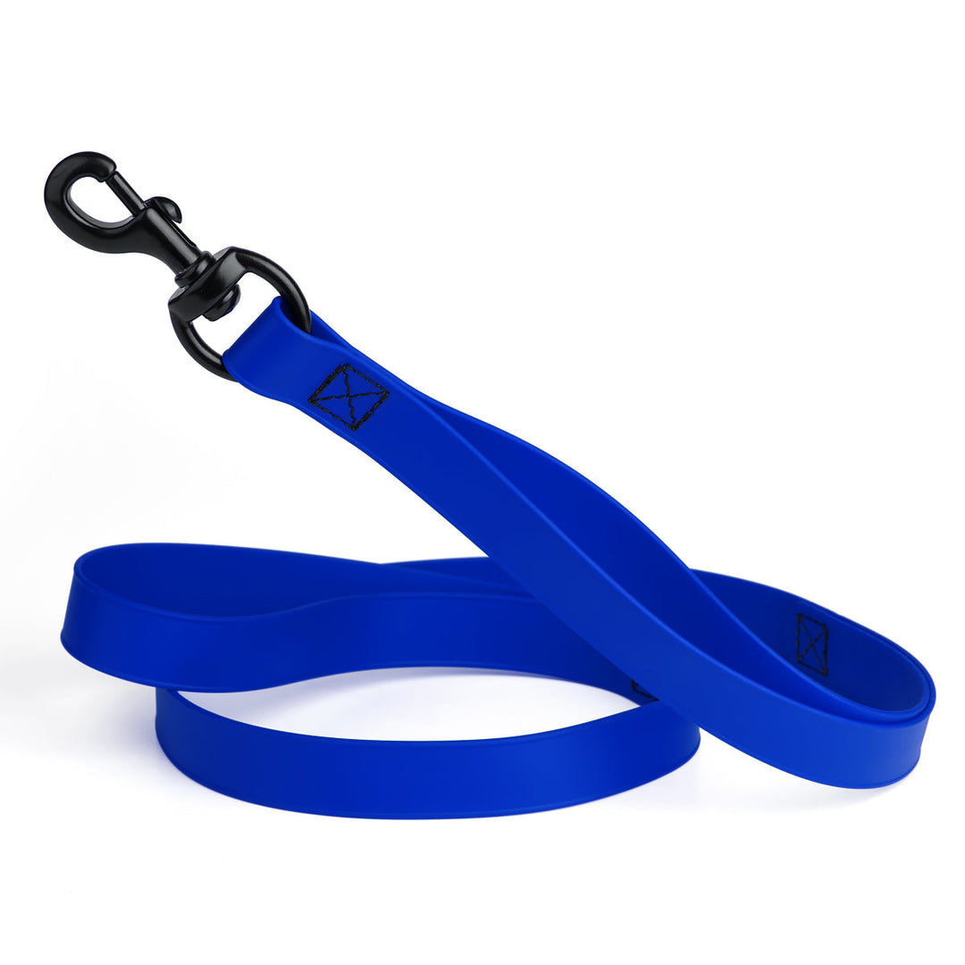 Royal blue dog leash with black clip on a white background