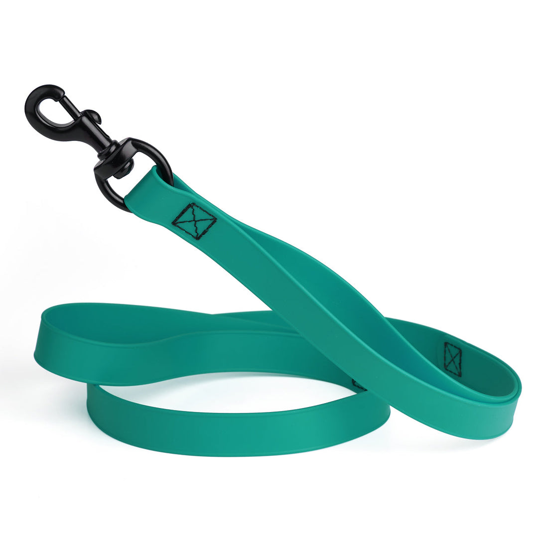 Teal dog leash with black clip on a white background
