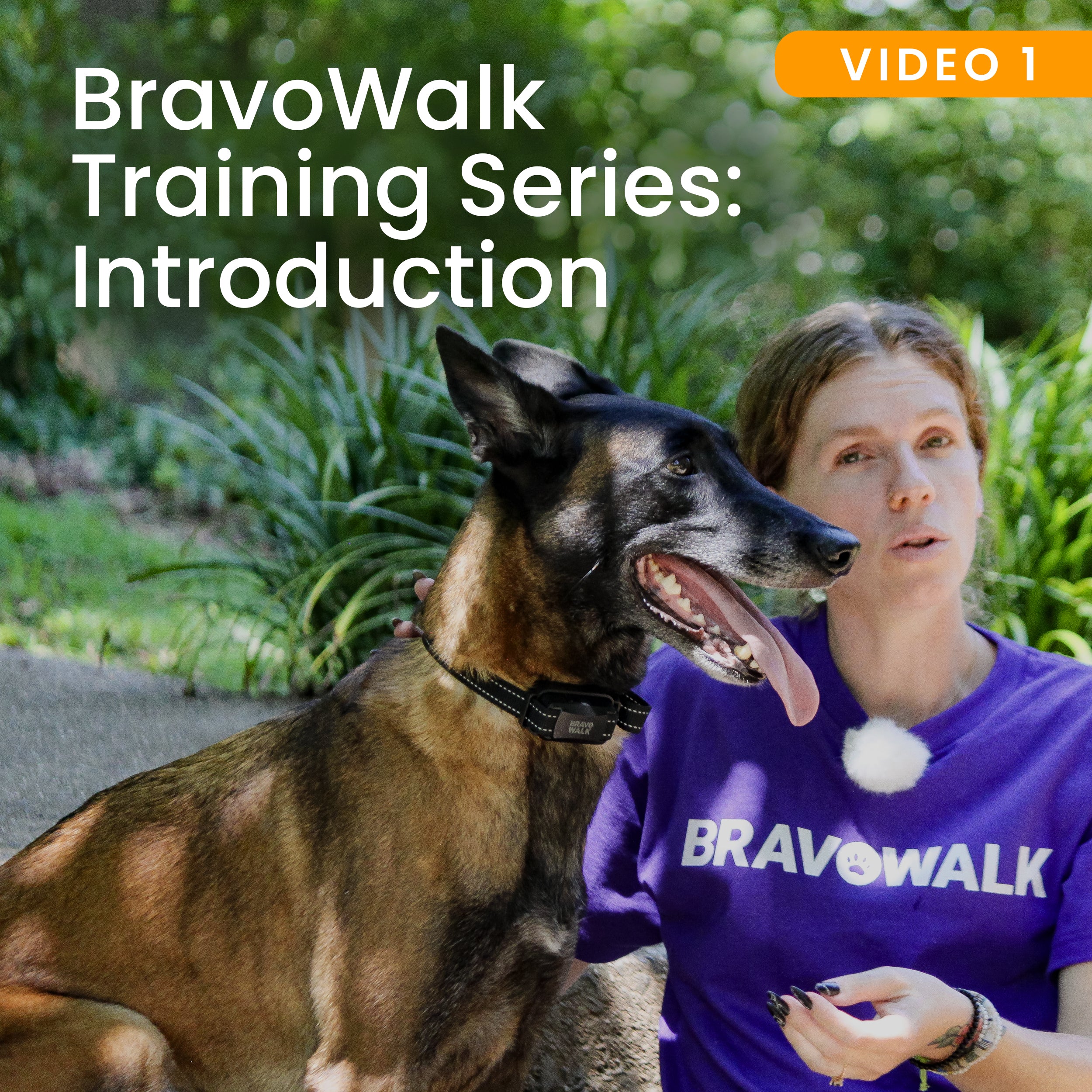 Load video: BravoWalk Pro Training Program Video 1