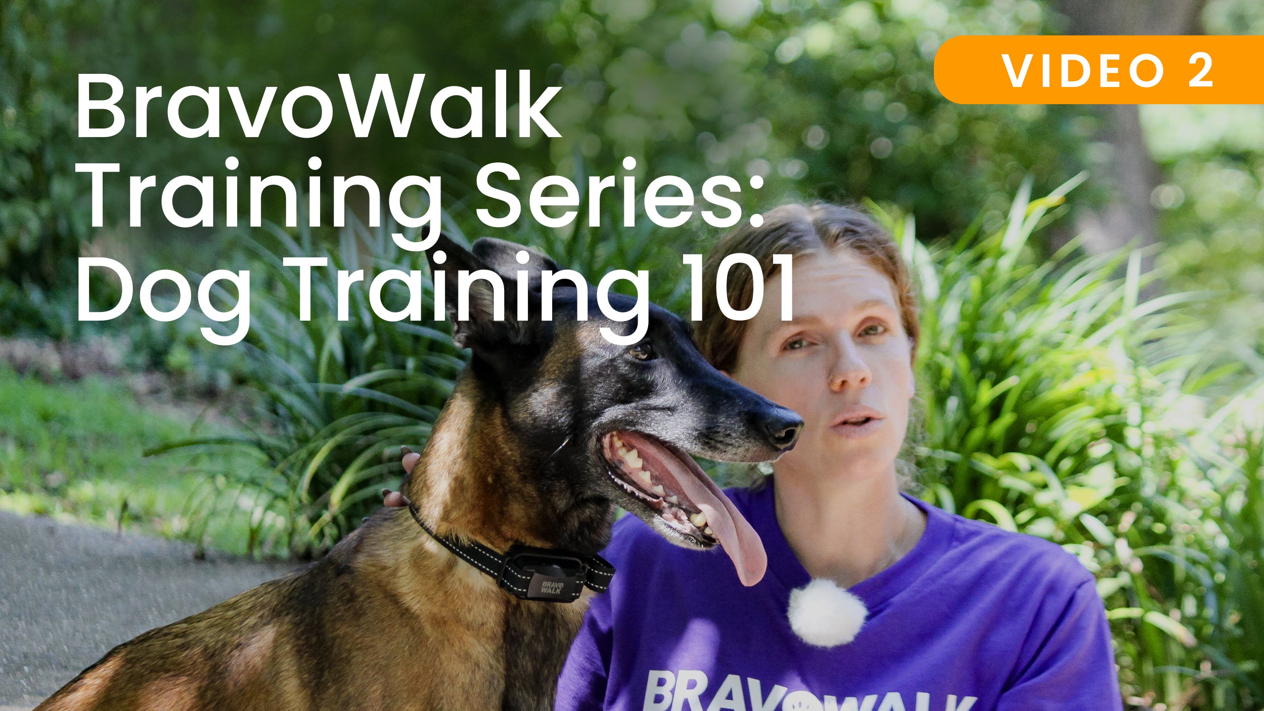 Load video: dog training guide video