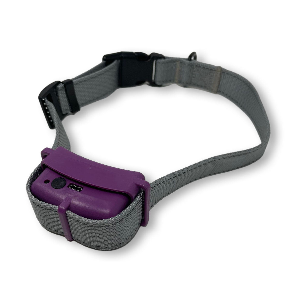 BravoWalk Collar