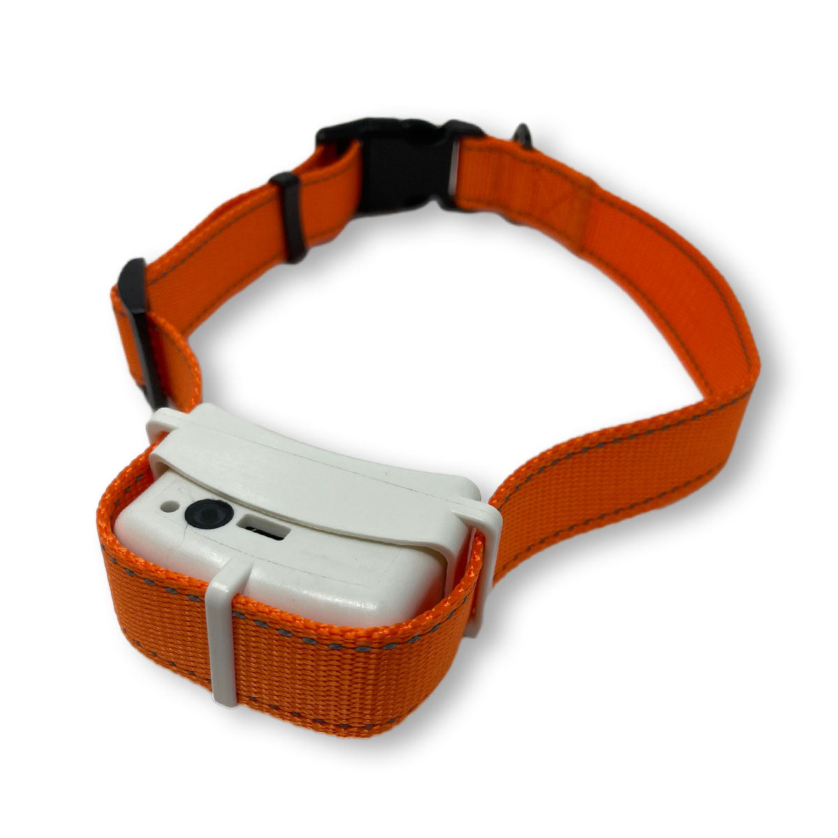 BravoWalk Collar