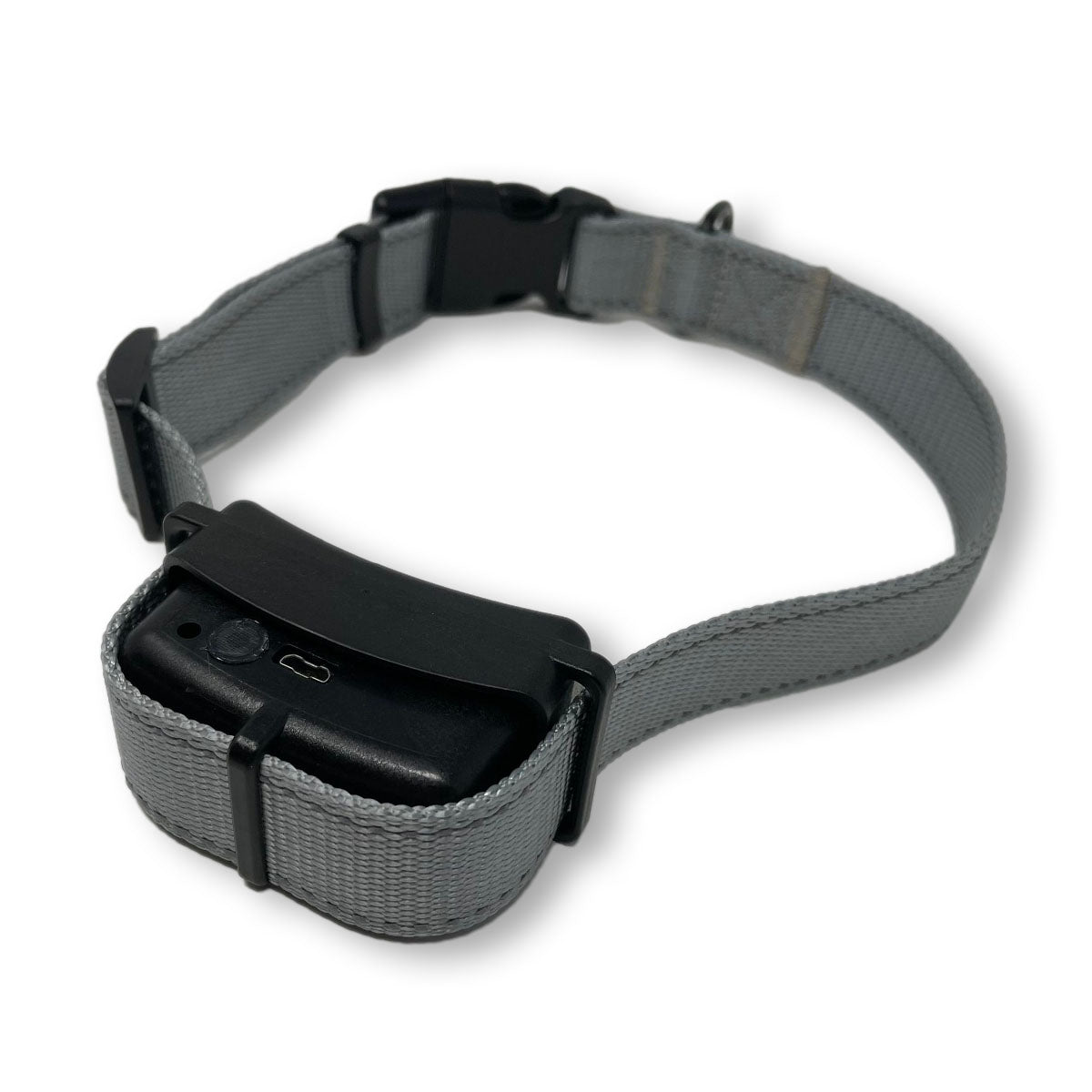 BravoWalk Collar